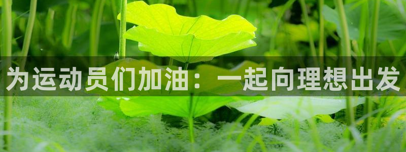 一竞技官方正版app娱乐代理怎么样：为运动员们加油：