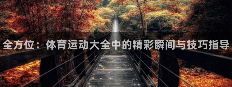 一竞技官网下载平台是正规平台吗：全方位：体育运动大全