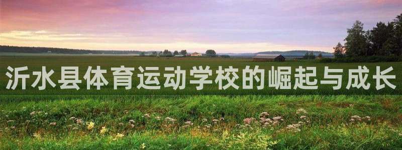 注册一竞技官方正版app：沂水县体育运动学校的崛起与