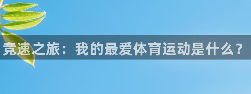 海南一竞技官网下载：竞速之旅：我的最爱体育运动是什么