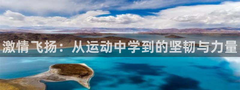 一竞技官网下载招商电话号码：激情飞扬：从运动中学到的