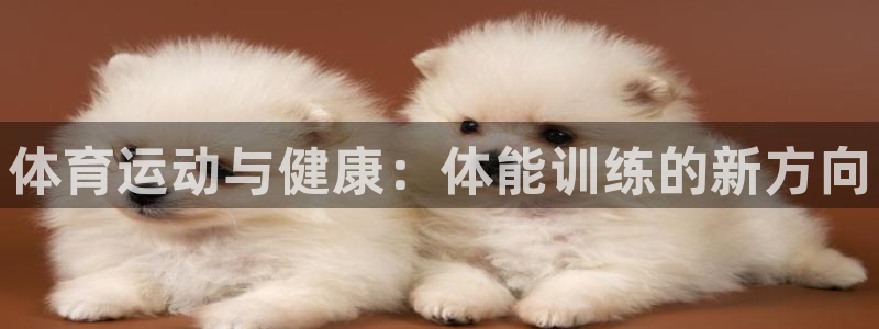 一竞技官方正版app五金厂：体育运动与健康：体能训练