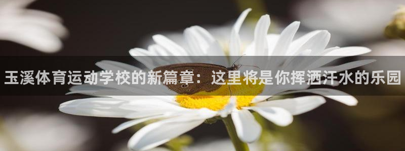 一竞技官方正版app娱乐平台：玉溪体育运动学校的新篇