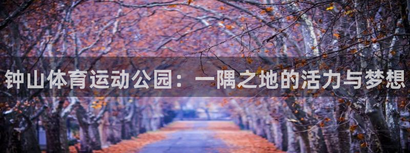 一竞技官方正版app集团logo：钟山体育运动公园：