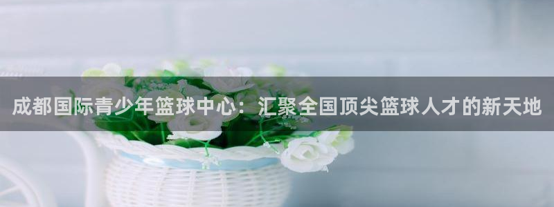 一竞技官网下载：成都国际青少年篮球中心：汇聚全国顶尖