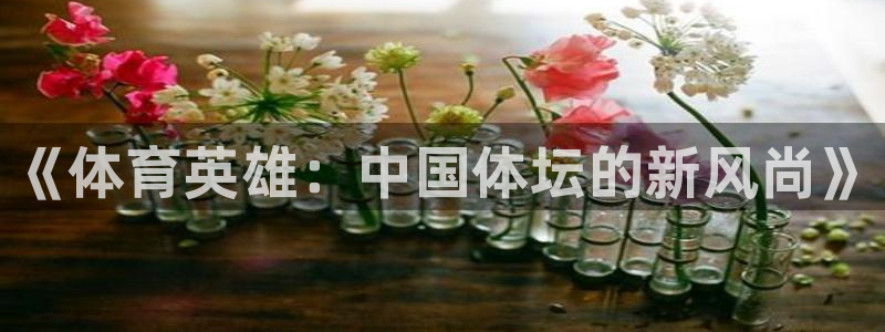 一竞技官网下载平台APP：《体育英雄：中国体坛的新风
