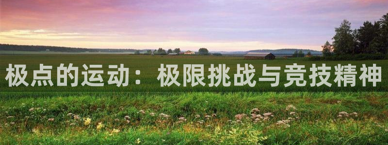 一竞技官网下载招商电话地址查询：极点的运动：极限挑战与竞技精
