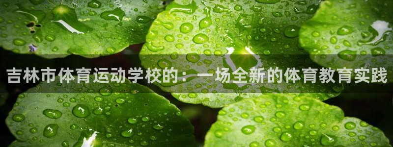 一竞技官方正版app集团官网网址：吉林市体育运动学校的：一场