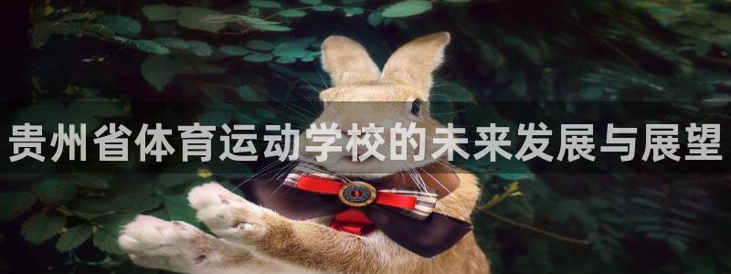一竞技官方正版app娱乐代理怎么样：贵州省体育运动学校的未来
