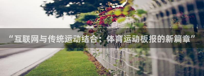 一竞技官网下载平台注册要钱吗：“互联网与传统运动结合：体育运