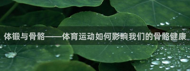 海南一竞技官网下载
