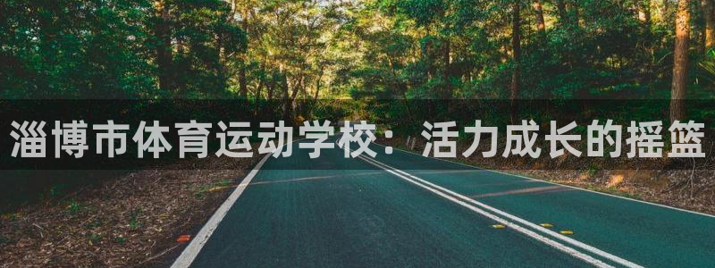 一竞技官方正版app集团官网首页：淄博市体育运动学校：活力成