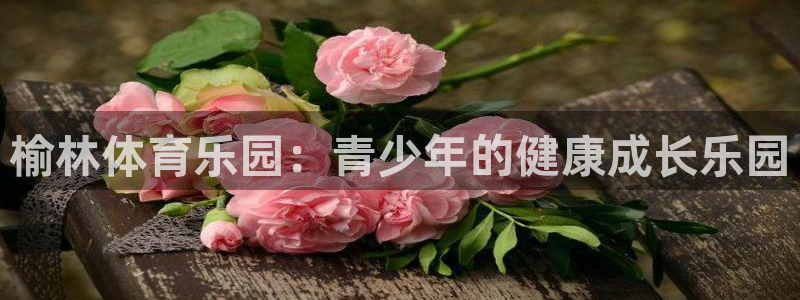 一竞技官网下载招商电话地址是多少：榆林体育乐园：青少