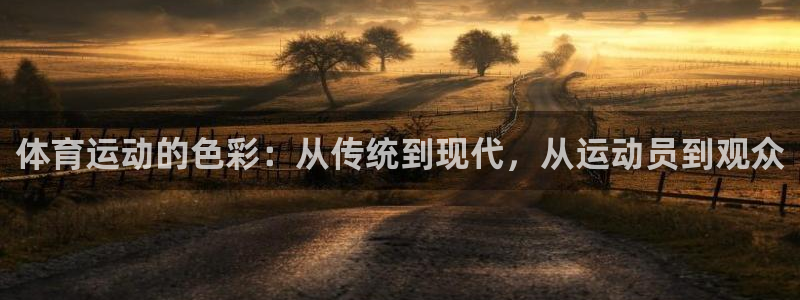 一竞技官方正版app代理：体育运动的色彩：从传统到现