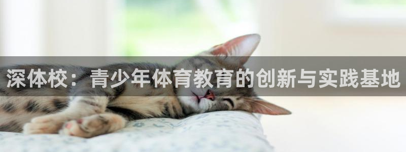 一竞技官方正版app娱乐平台：深体校：青少年体育教育