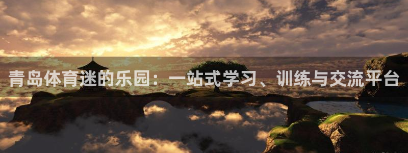 一竞技官方正版app集团：青岛体育迷的乐园：一站式学