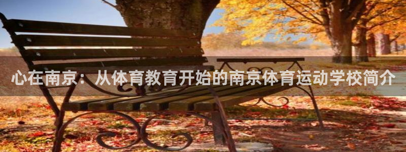 海南一竞技官网下载：心在南京：从体育教育开始的南京体