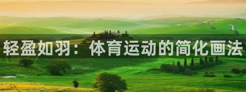 德国一竞技官方正版app集团：轻盈如羽：体育运动的简化画法