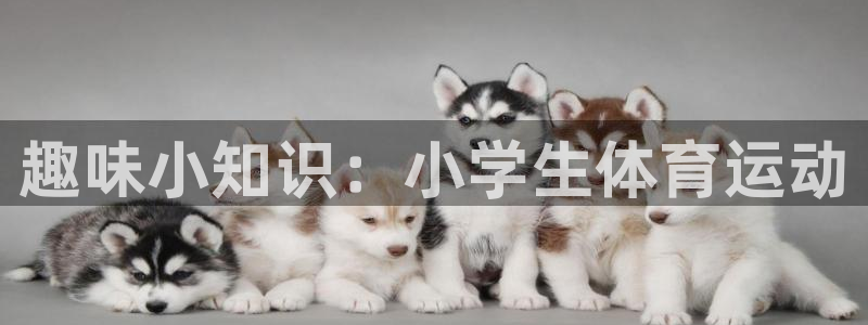 一竞技官网下载招商电话是多少：趣味小知识：小学生体育运动