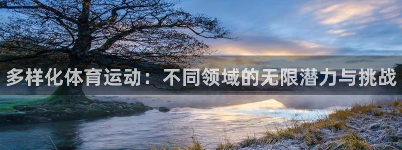 一竞技官方正版app集团：多样化体育运动：不同领域的无限潜力