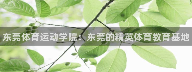 一竞技官网下载：东莞体育运动学院：东莞的精英体育教育基地