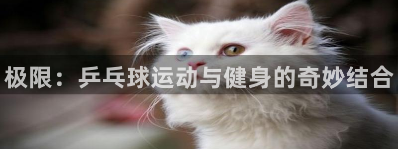 一竞技dota2：极限：乒乓球运动与