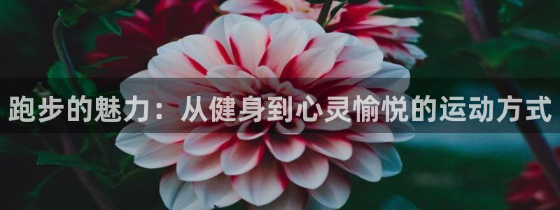一竞技官网网页版：跑步的魅力：从健身