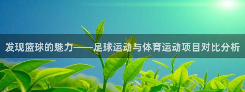 一竞技客服：发现篮球的魅力——足球运