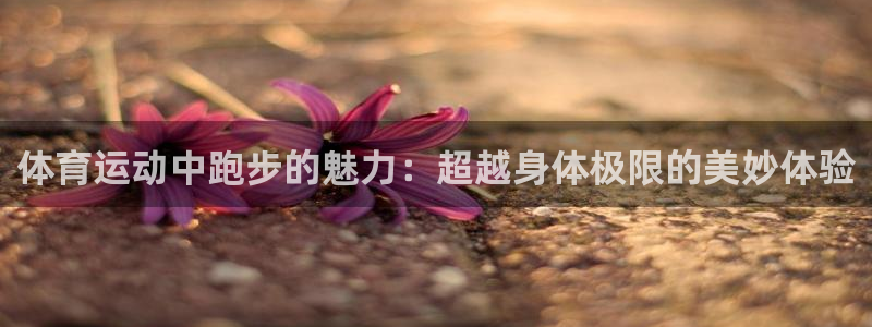 一竞技官方正版app代理：体育运动中跑步的魅力：超越身体极限