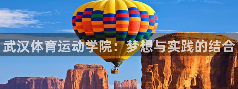 一竞技官方正版app新能源：武汉体育运动学院：梦想与实践的结