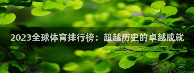 一竞技官方正版app集团官网首页网址：2023全球体育排行榜