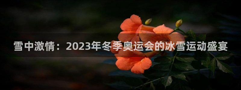 一竞技官网下载招商电话地址：雪中激情：2023年冬季奥运会的