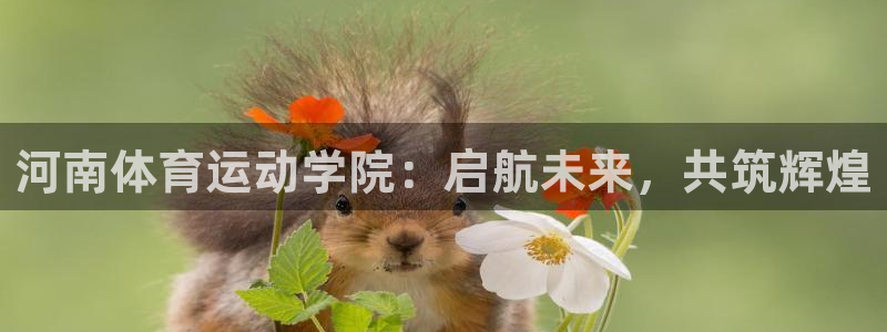 一竞技官方正版app集团logo