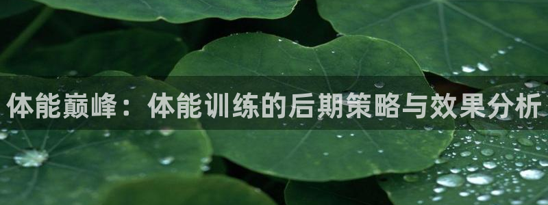 一竞技官网下载平台注册：体能巅峰：体能训练的后期策略与效果分