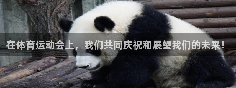 一竞技官网下载招商电话号码是多少：在体育运动会上，我们共同庆