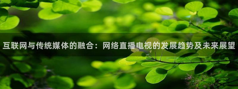 看球通直播吧