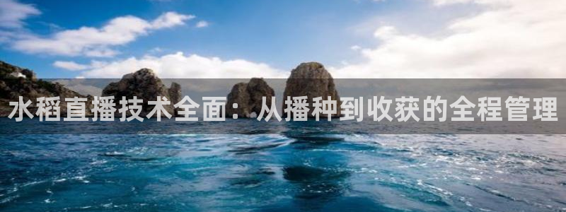 快鱼体育直播吧