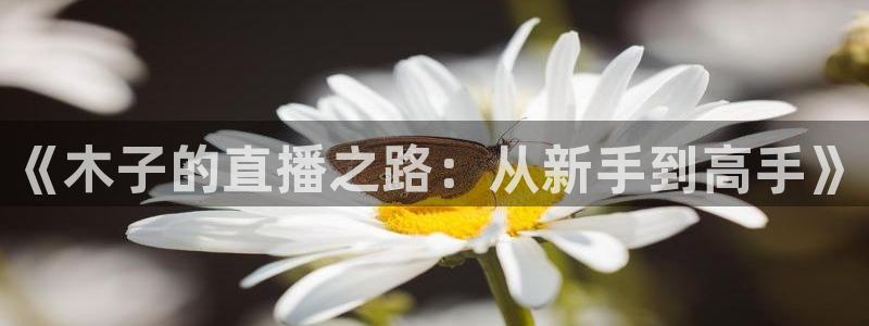 500体育直播吧nba