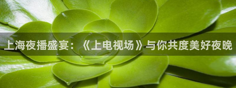 24小时直播吧