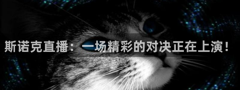 98直播吧篮球：斯诺克直播：一场精彩的对决正在上演！