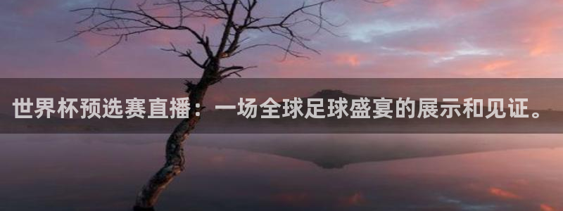 55直播吧体育nba：世界杯预选赛直播：一场全球足球盛宴的展示和见证。