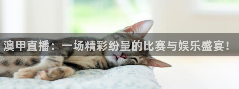 nba直播吧在线直播观看：澳甲直播：一场精彩纷呈的比赛与娱乐盛宴！