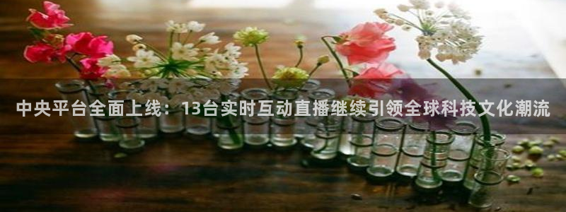 55直播吧体育：中央平台全面上线：13台实时互动直播继续引领全球科技文化潮流