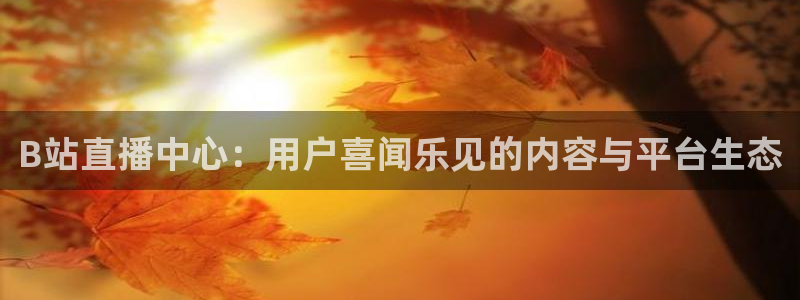 飞速足球直播吧：B站直播中心：用户喜闻乐见的内容与平台生态